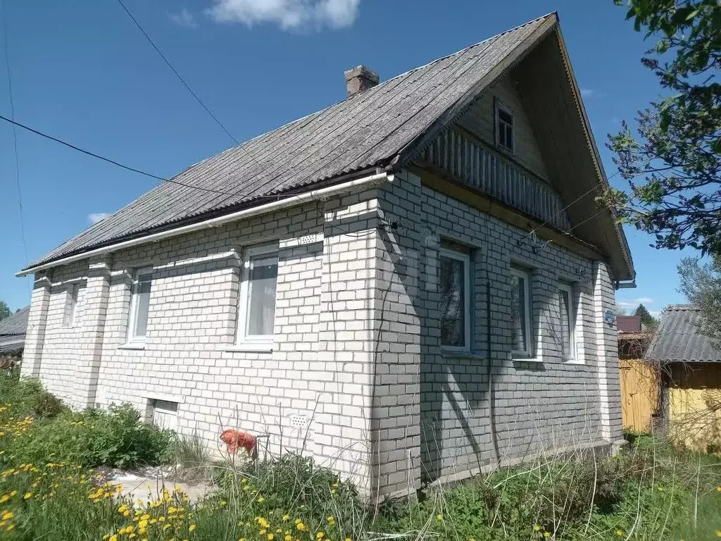 Дом в Псковская область, Плюсский муниципальный округ, д. Лющик ул. ... - Фото 1