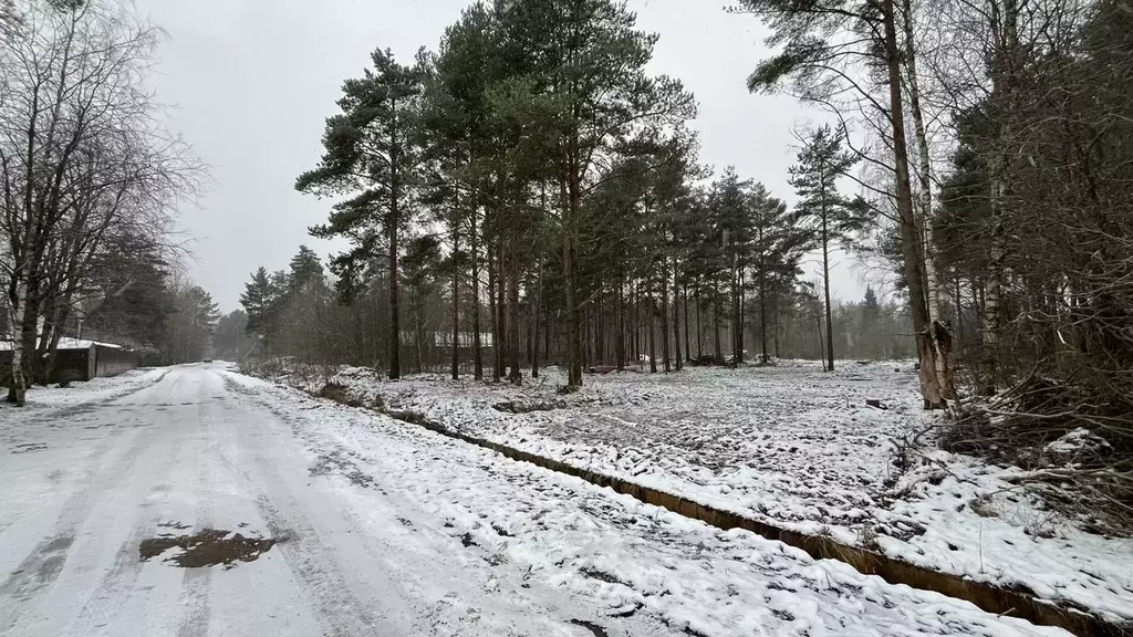Участок в Ленинградская область, Шлиссельбург Кировский район, Зеленый ... - Фото 1