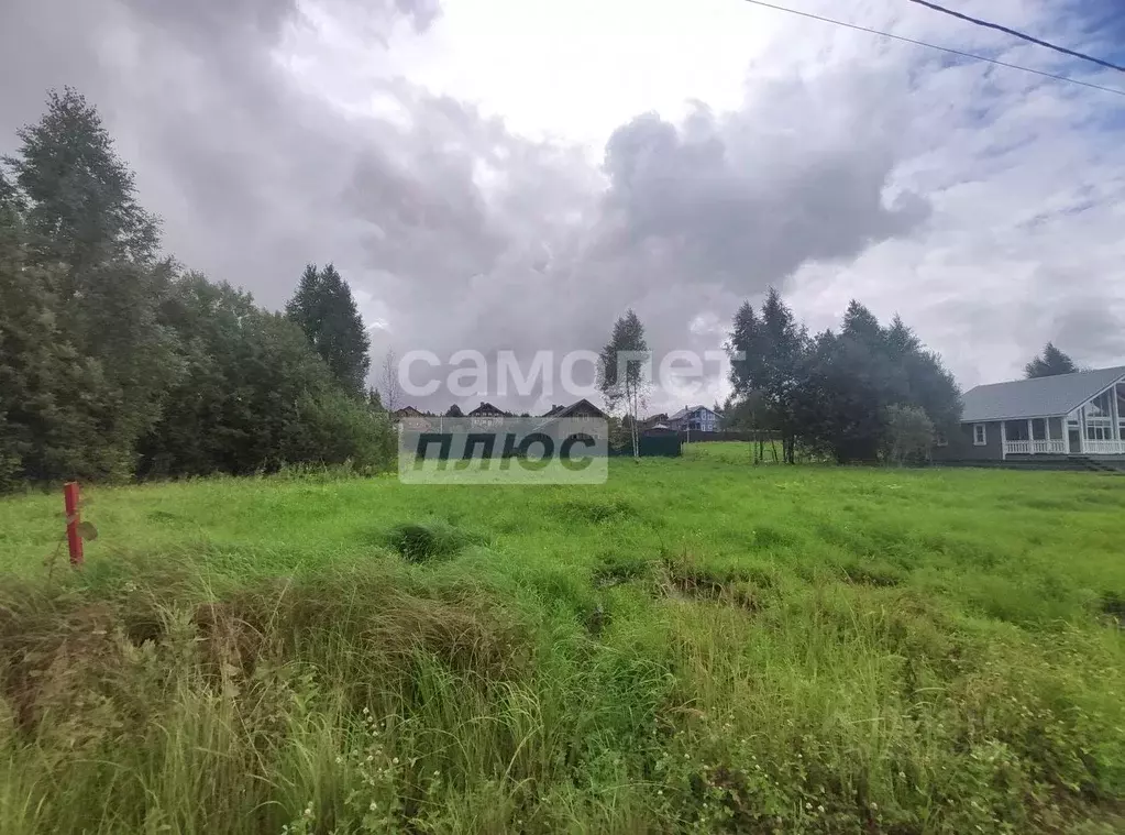 Участок в Ярославская область, Переславль-Залесский муниципальный ... - Фото 2