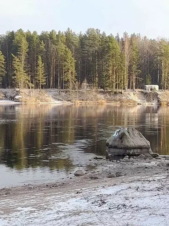 Участок в Ленинградская область, Выборгский район, Гончаровское с/пос, ... - Фото 2