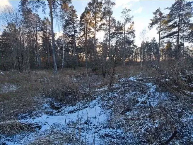 Участок в Московская область, Лотошино пгт  (78.24 сот.) - Фото 1