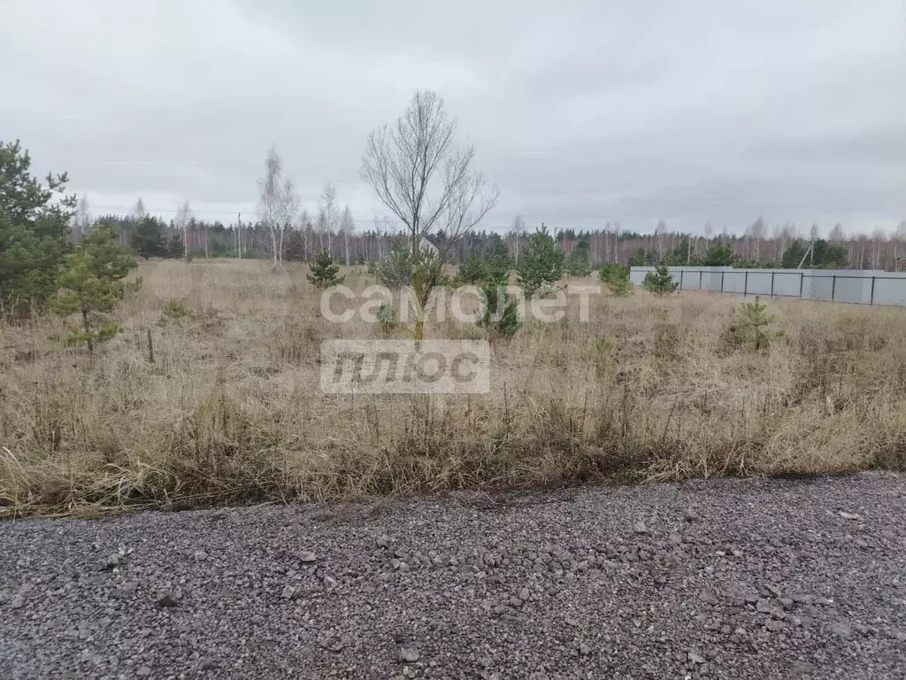 Участок 12 сот. (ИЖС) - Фото 1