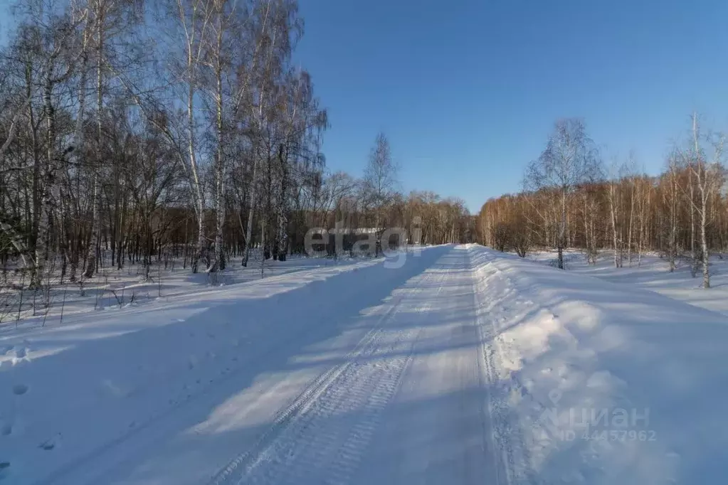 Участок в Челябинская область, Красноармейский район, Луговское с/пос, ... - Фото 1