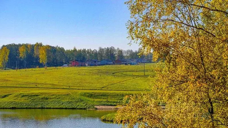Участок в Тульская область, Заокский район, Демидовское муниципальное ... - Фото 0