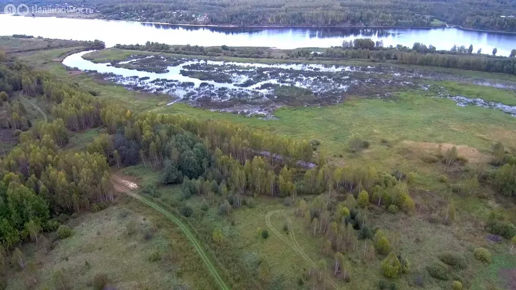 Участок в Ярославская область, Угличский муниципальный округ, деревня ... - Фото 2