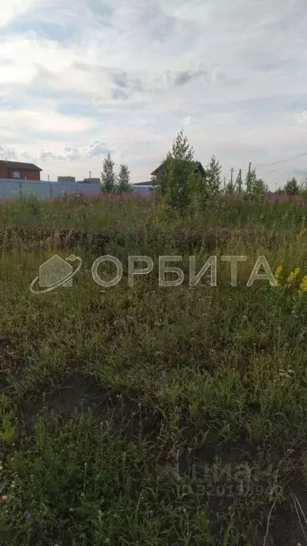 Участок в Тюменская область, Тюменский район, с. Кулига ул. ... - Фото 1