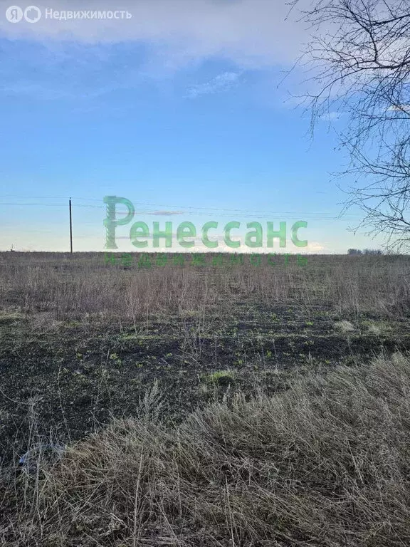 Участок в деревня Титовка, Пролетарская улица (10 м) - Фото 2