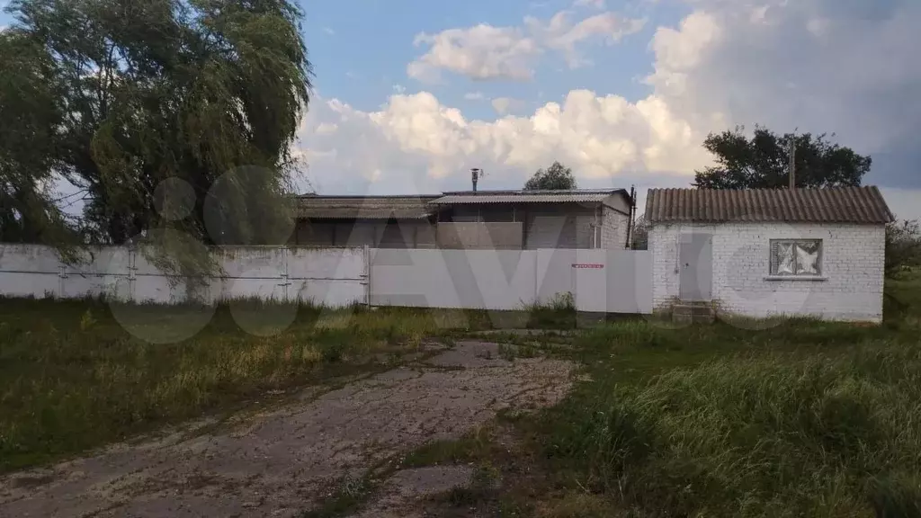 Свободного назначения, 488 м - Фото 0
