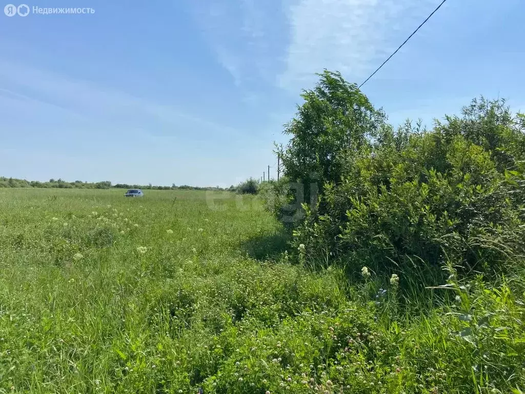 Участок в Тюменский район, деревня Есаулова (13 м) - Фото 1