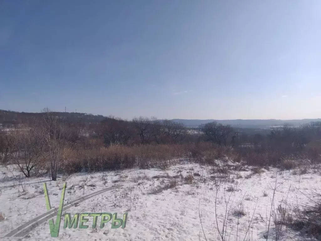 Участок в Приморский край, Надеждинский район, с. Кипарисово  (599.54 ... - Фото 1