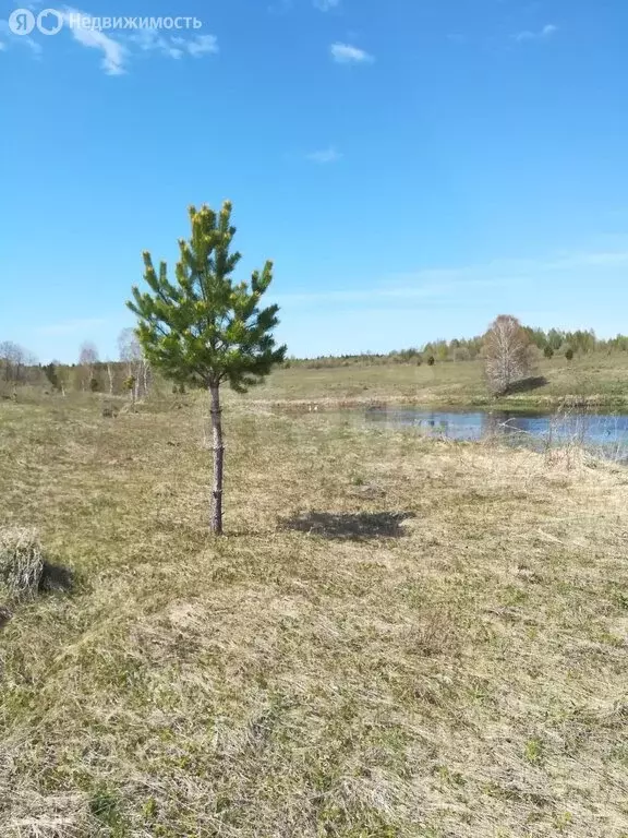 Участок в Тюменская область, Тобольский муниципальный округ, село ... - Фото 1