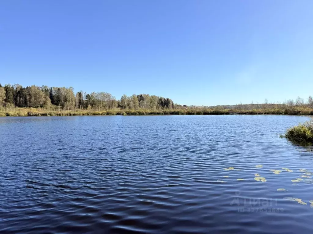 Участок в Московская область, Дмитровский муниципальный округ, Сбоево ... - Фото 2