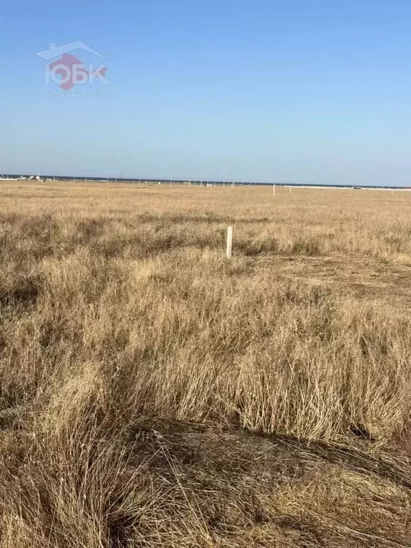 Участок в Крым, Сакский район, Молочненское с/пос, с. Витино ул. ... - Фото 2