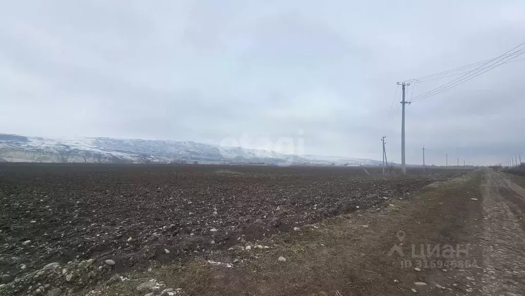 Участок в Карачаево-Черкесия, Адыге-Хабльский район, с. Садовое  ... - Фото 0