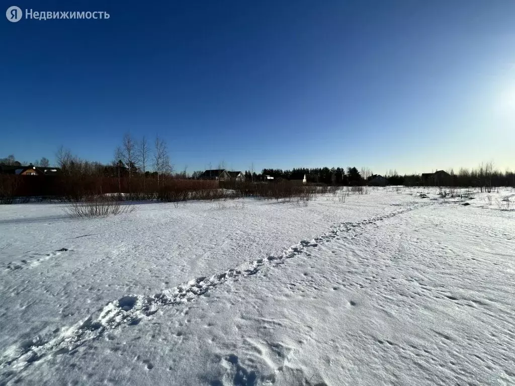 Участок в посёлок Усть-Ижора, Школьная улица, 5 (12 м), Купить земельный  участок в Санкт-Петербурге, ID объекта - 20006198321