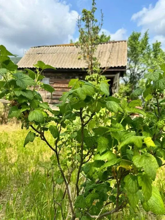 Участок, 2.2 сот., 0 - Фото 0