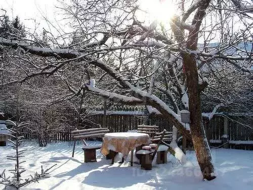 Дом в Новосибирская область, Искитимский район, Мичуринский сельсовет, ... - Фото 2