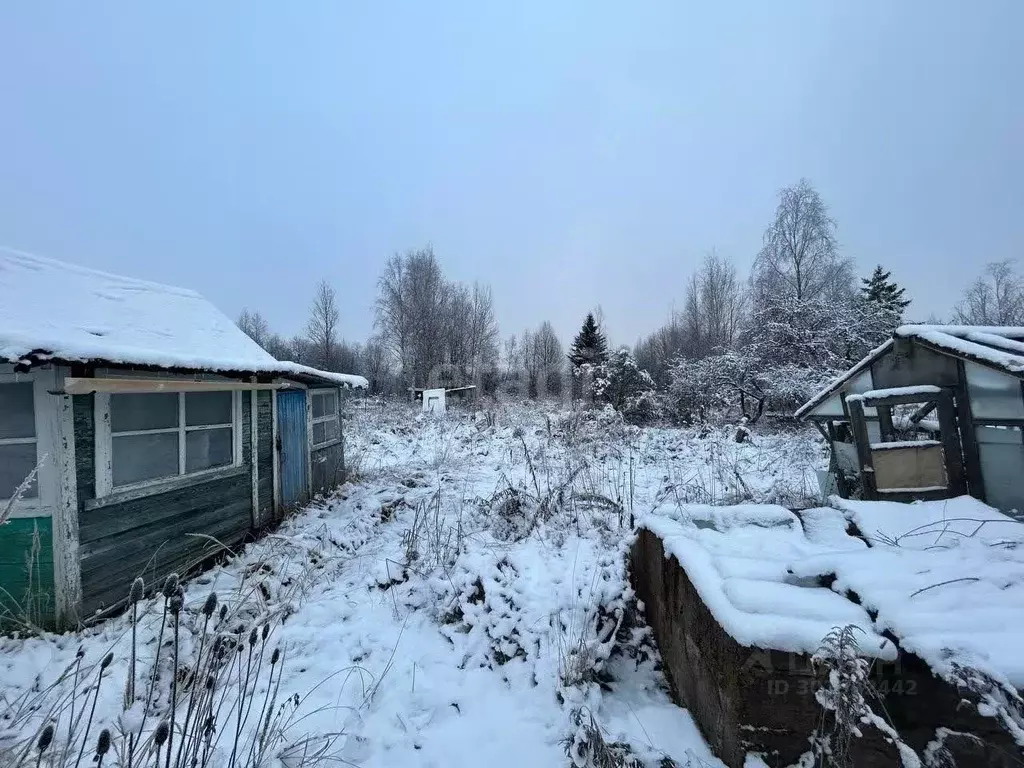 Дом в Ленинградская область, Волхов Восход СНТ,  (20 м) - Фото 0