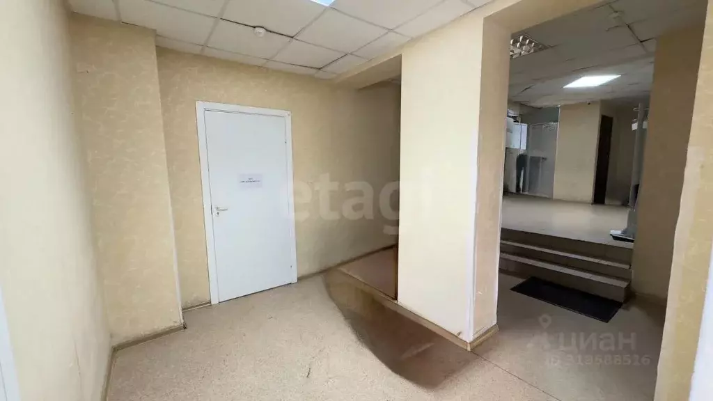 Помещение свободного назначения в Воронежская область, Воронеж ул. ... - Фото 1