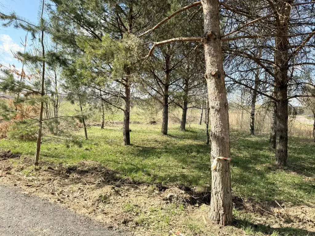 Участок 7 сот. (СНТ, ДНП) - Фото 0