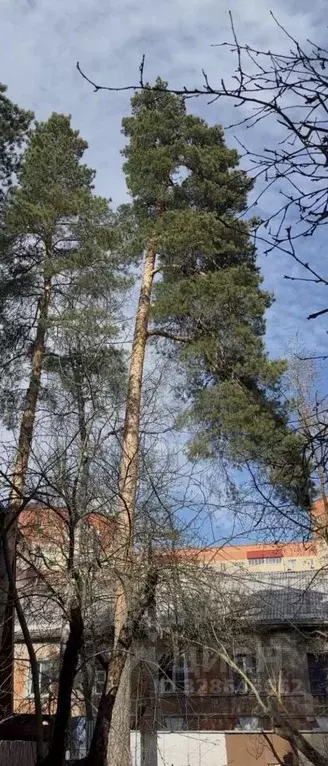 Участок в Московская область, Раменское Холодовский проезд, 2 (8.0 ... - Фото 2