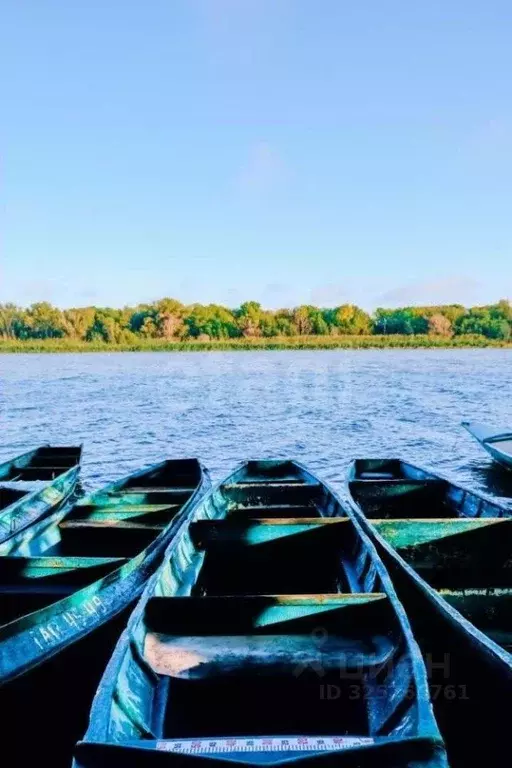 Участок в Астраханская область, Камызякский район, с. Самосделка ул. ... - Фото 1