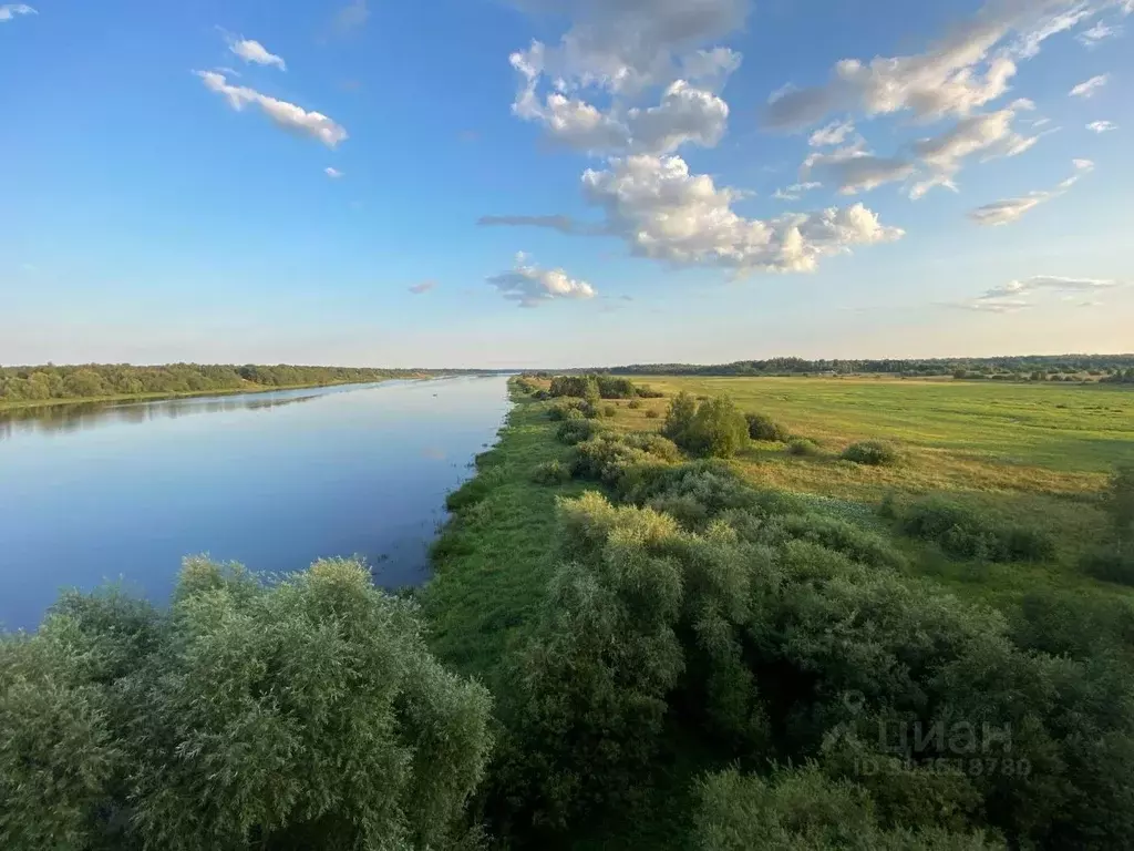 Участок в Новгородская область, Чудовский район, Трегубовское с/пос, ... - Фото 0