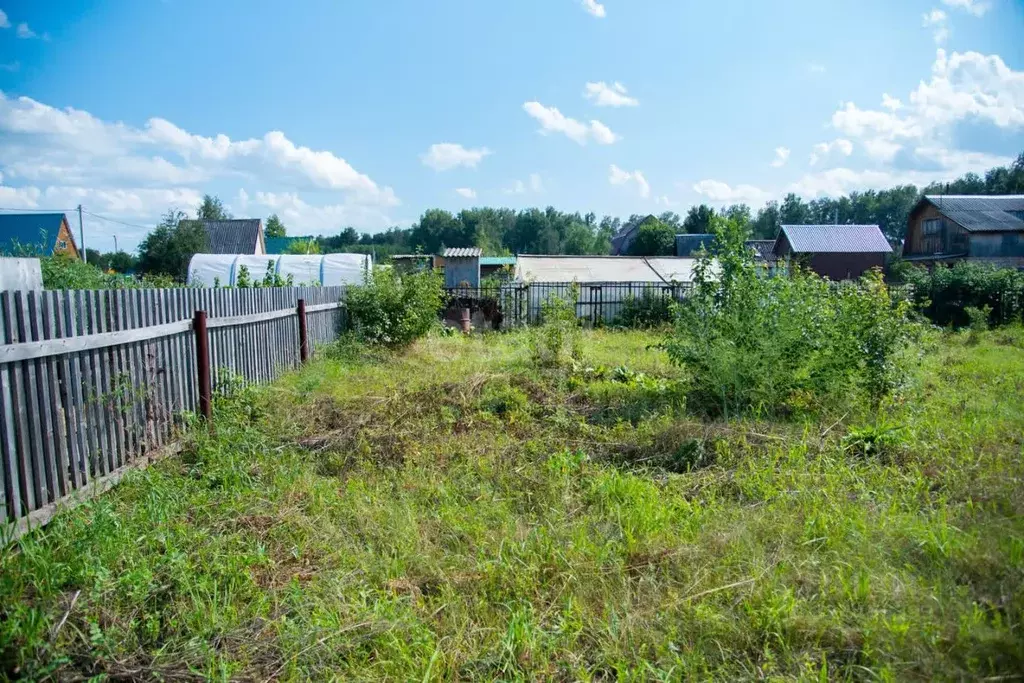 Участок в Новосибирская область, Бердск Ветеран садовое товарищество, ... - Фото 1