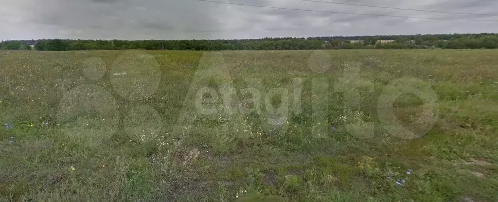 Участок 10 сот. (ИЖС) - Фото 1