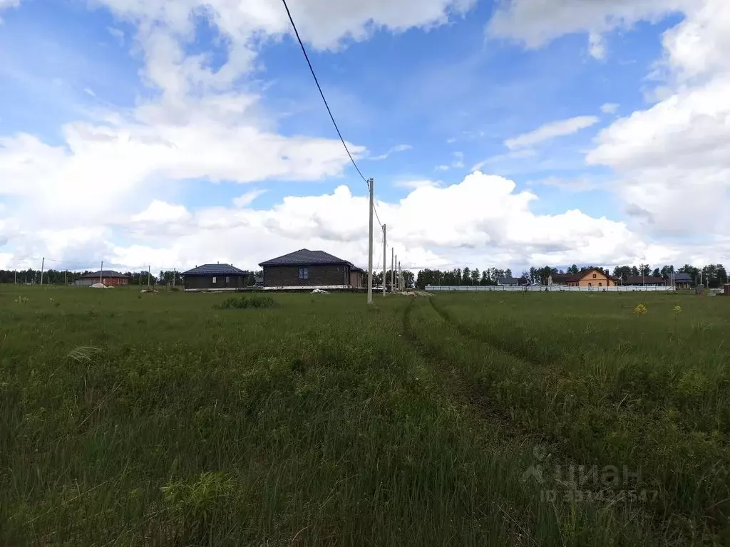 Участок в Пензенская область, с. Бессоновка ул. Родниковая (9.0 сот.) - Фото 2