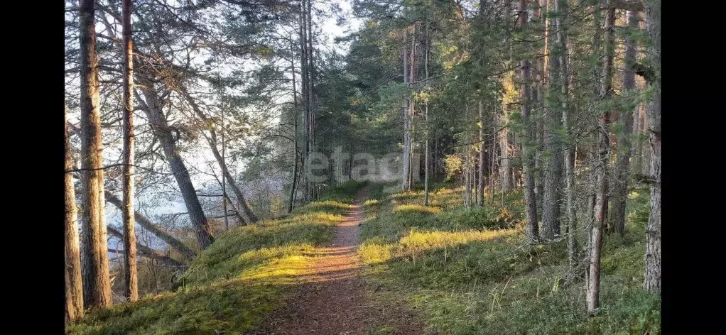 Участок в Карелия, Медвежьегорский район, Повенец пгт  (520.0 сот.) - Фото 1