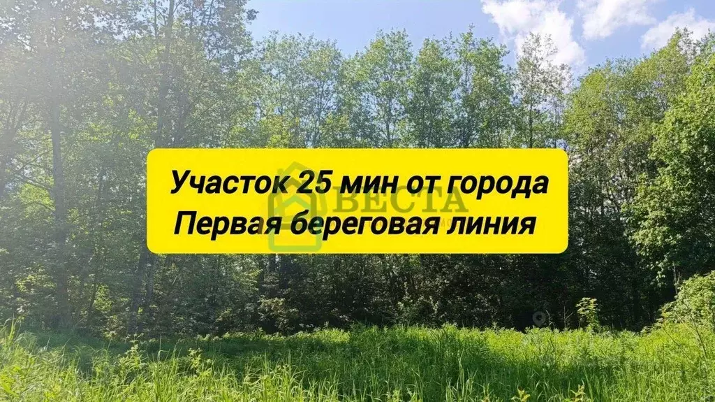 Участок в Ленинградская область, Всеволожский район, Токсовское ... - Фото 1