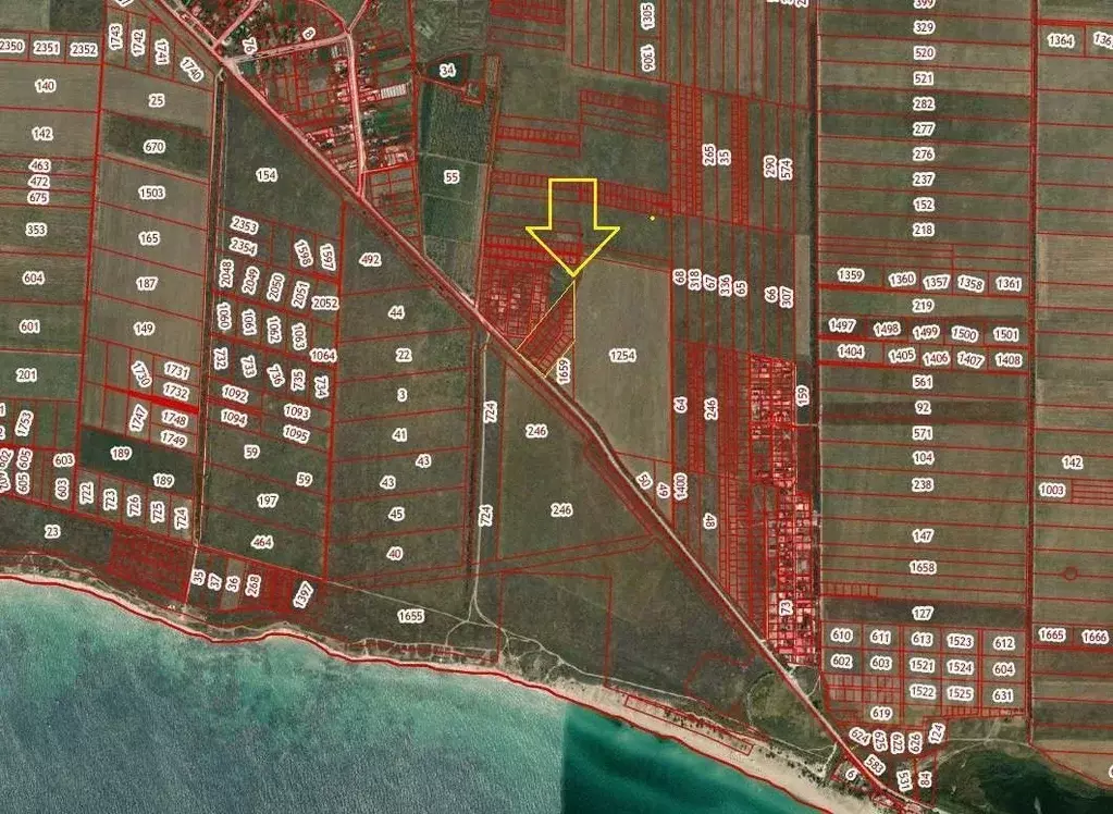 Участок в Крым, Черноморский район, Окуневское с/пос, Беляус СНТ ул. ... - Фото 1