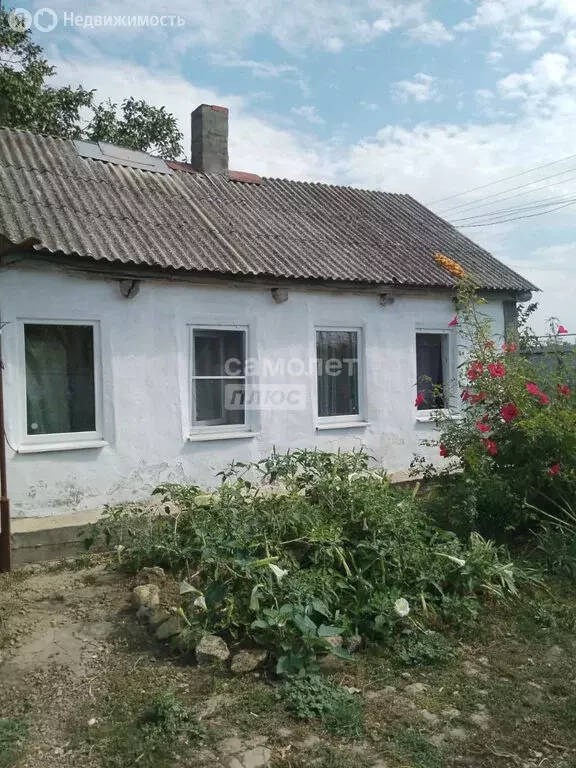 Дом в станица Фастовецкая, улица Фастовца, 265 (29 м) - Фото 1