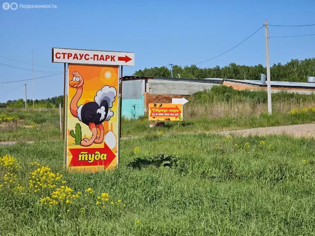 Участок в Челябинская область, Сосновский муниципальный округ, ... - Фото 0