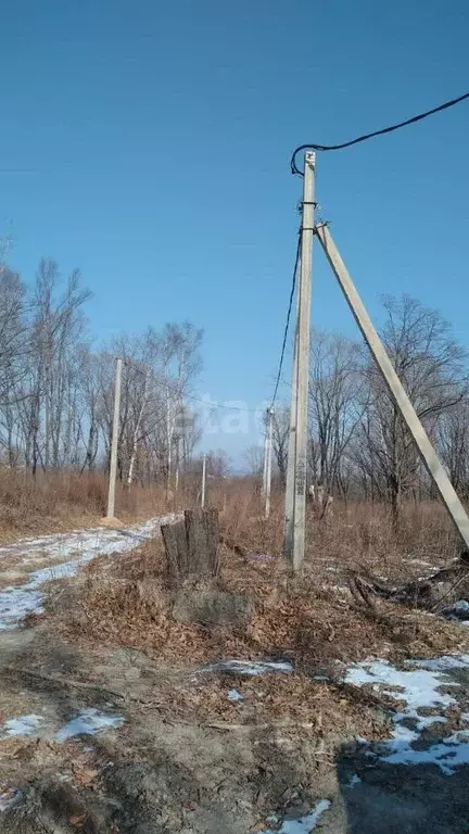 Участок в Приморский край, Надеждинский район, Тавричанское урочище  ... - Фото 0