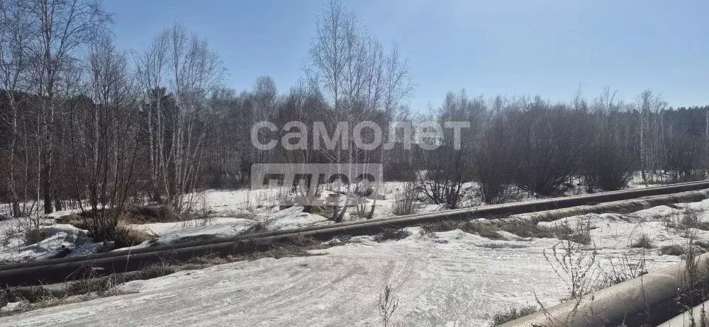 Участок в Иркутская область, Иркутский муниципальный округ, Маркова рп ... - Фото 1