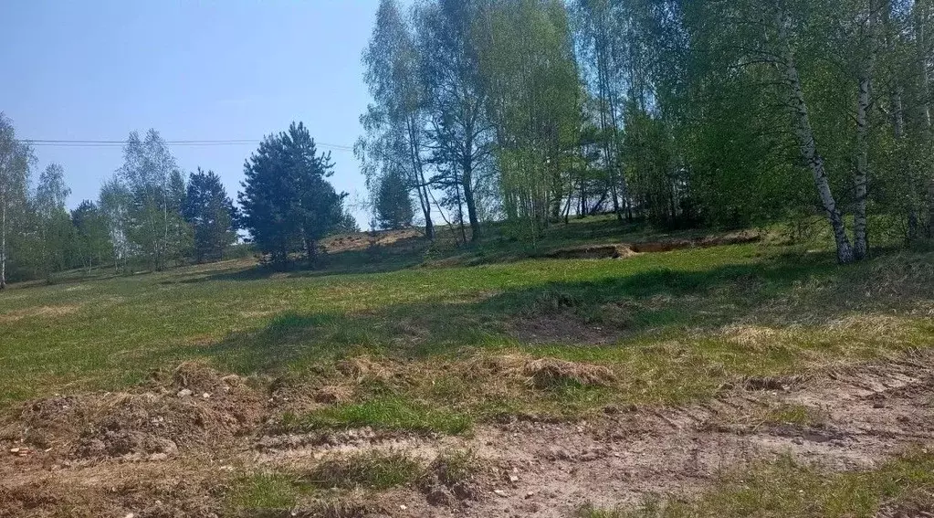Участок в Московская область, Орехово-Зуевский городской округ, д. ... - Фото 1