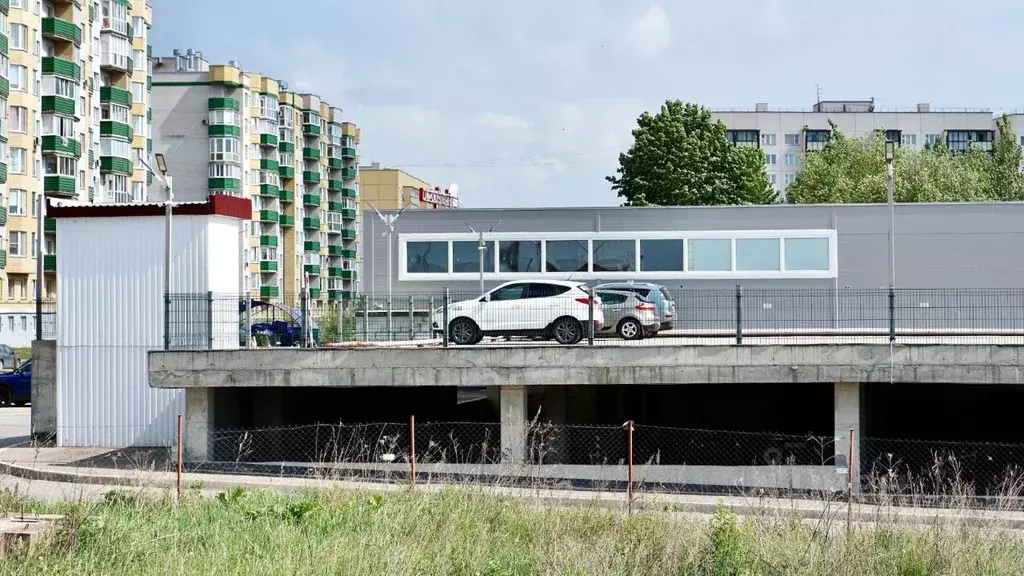 Помещение свободного назначения в Псковская область, Псков ул. . - Фото 1