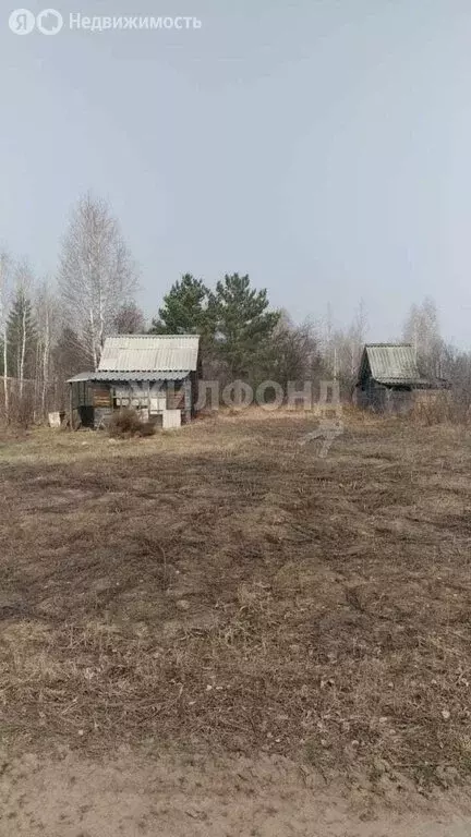 Участок в Колыванский район, садовое некоммерческое товарищество ... - Фото 1