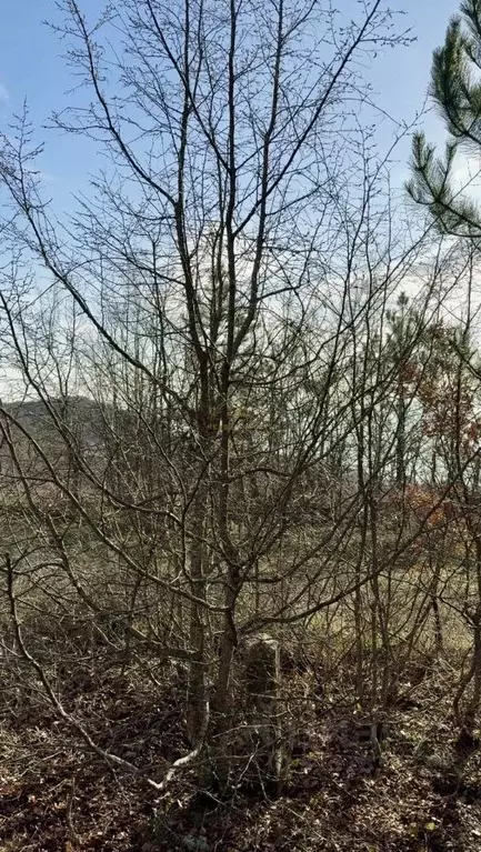 Участок в Крым, Симферопольский район, Перовское с/пос, Кооператор ... - Фото 2