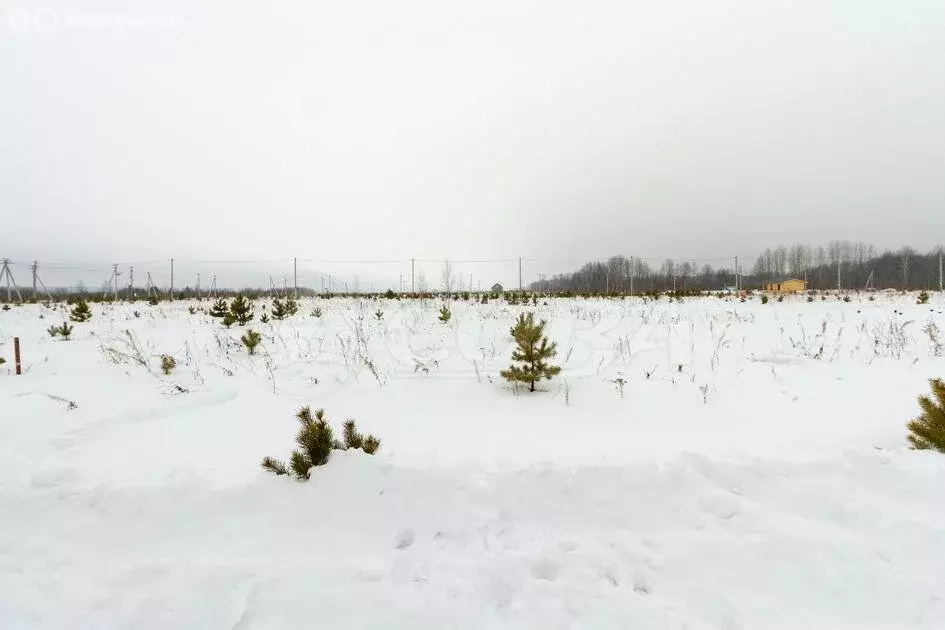 Участок в Тюменский район, деревня Решетникова (7.9 м) - Фото 0