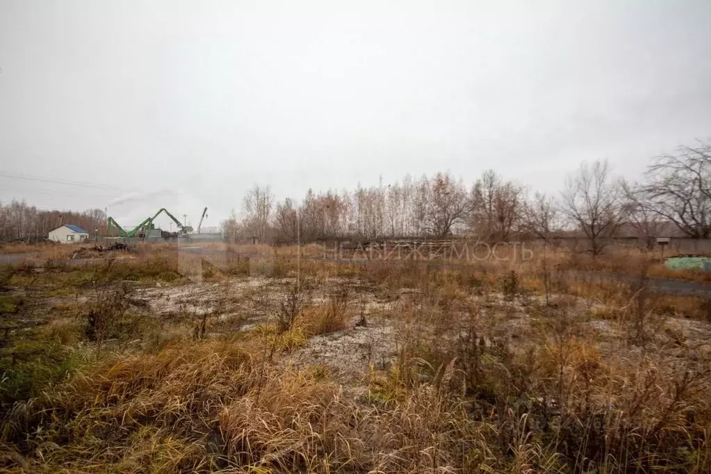 Склад в Тюменская область, Тюмень Старый Тобольский тракт, 2-й км, ... - Фото 1