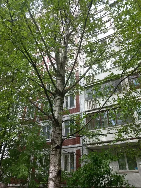 1-к кв. Санкт-Петербург Планерная ул., 67К1 (34.0 м) - Фото 1