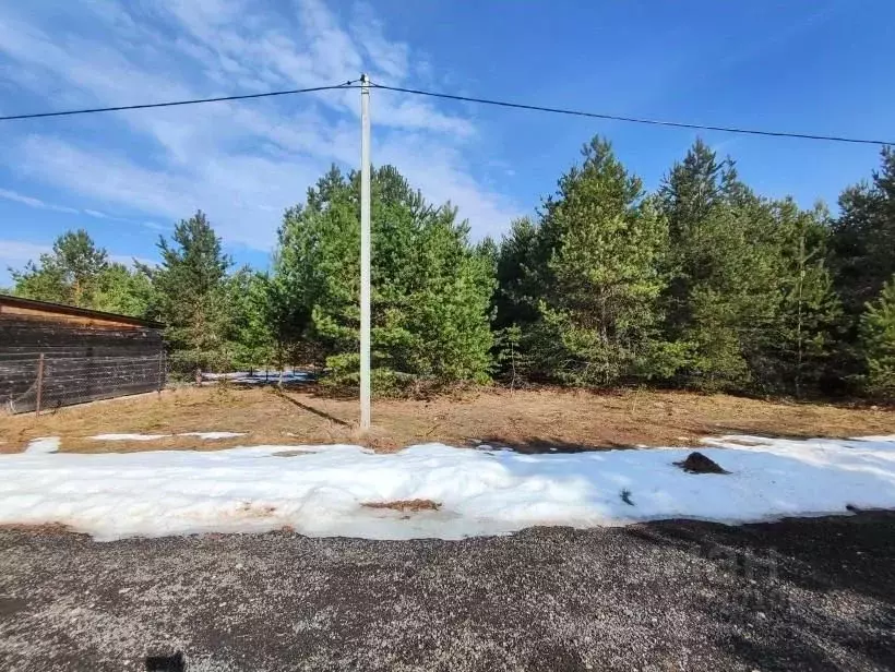 Участок в Московская область, Лотошино муниципальный округ, с. ... - Фото 2