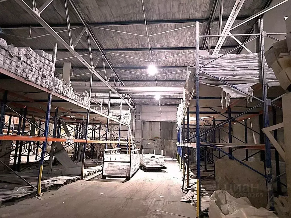 Помещение свободного назначения в Санкт-Петербург Пискаревский просп., ... - Фото 1