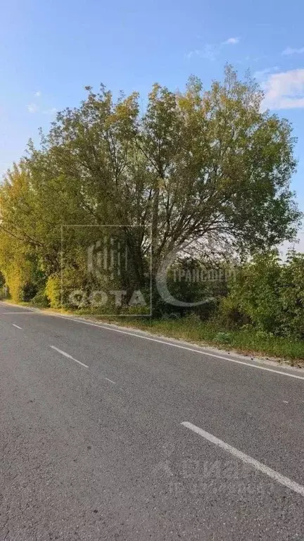 Участок в Воронежская область, Семилукский район, Девицкое с/пос, пос. ... - Фото 2