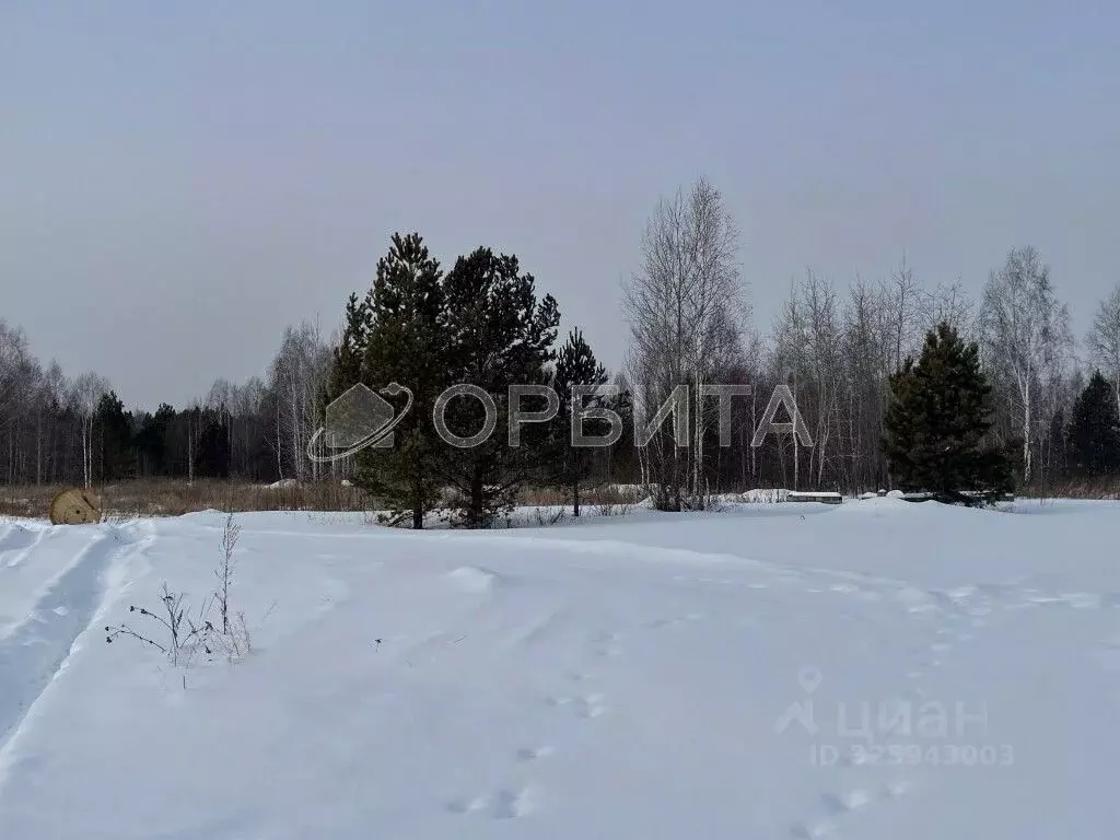 Участок в Тюменская область, Нижнетавдинский муниципальный округ, с. ... - Фото 1