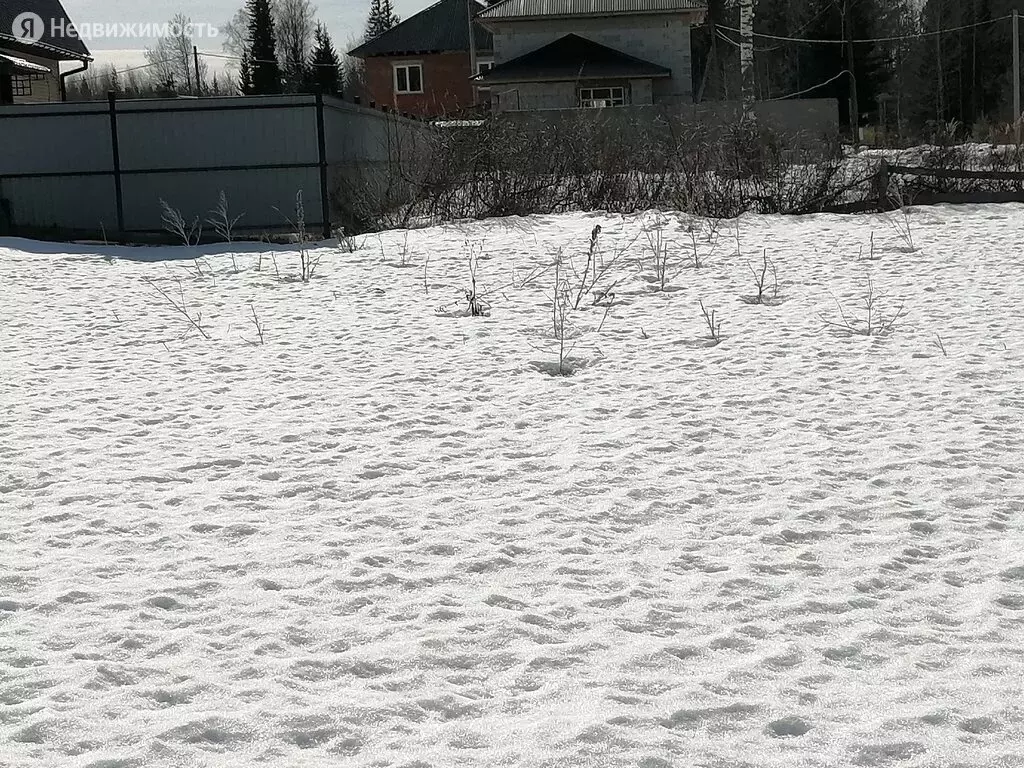 Буруторг. Буруторг