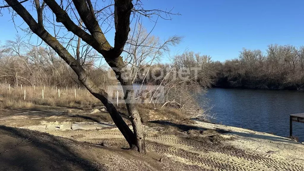 Участок в Волгоградская область, Среднеахтубинский район, Фрунзенское ... - Фото 0